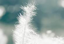 英國(guó)修訂玩具法規(guī)